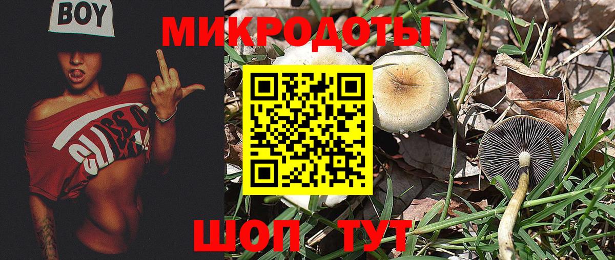 Псилоцибиновые грибы ЛСД  Псилоцибиновые грибы мицелий  Вход с VPN  Красногорск 